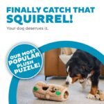 Dog playing with the Outward Hound Hide A Squirrel puzzle toy