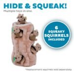 Outward Hound Hide A Squirrel toy showing included squeaky squirrels