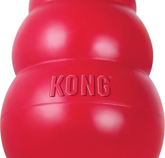 Red KONG Classic natural rubber dog toy, front product view