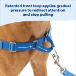 PetSafe Easy Walk harness front martingale loop and leash connection detail