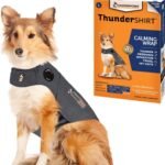 ThunderShirt Classic calming wrap in heather gray fitted on a dog beside its package