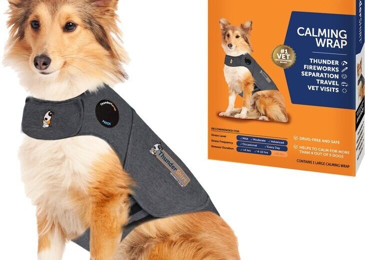ThunderShirt Classic calming wrap in heather gray fitted on a dog beside its package