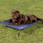 Coolaroo Original Elevated Dog Bed — official manufacturer image