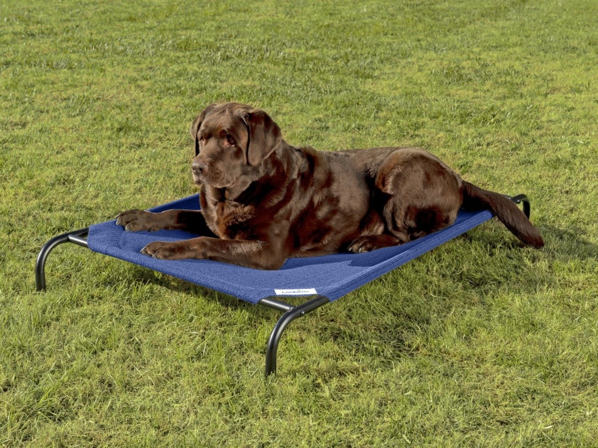 Coolaroo Original Elevated Dog Bed — official manufacturer image