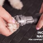 Dremel 7760-PGKD Deluxe Pet Nail Trimming Kit