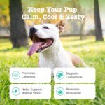 Zesty Paws Calming Bites dog lifestyle image with calming support benefits