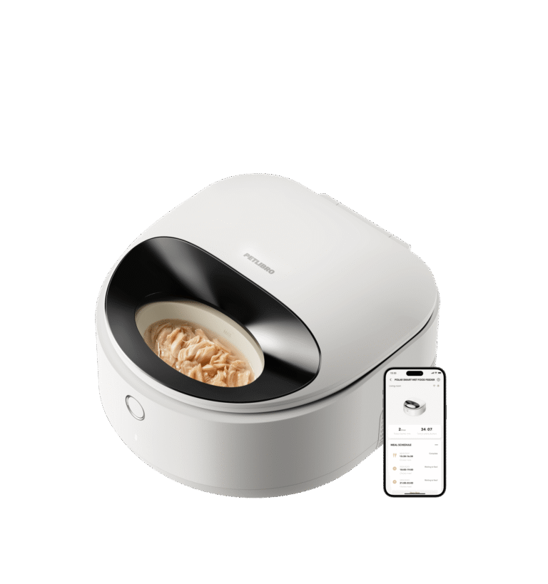 Petlibro smart automatic wet food pet feeder in white with black bowl and mobile app control shown on smartphone