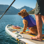 Dog paddleboarding while wearing the Float Coat™ Dog Life Jacket.