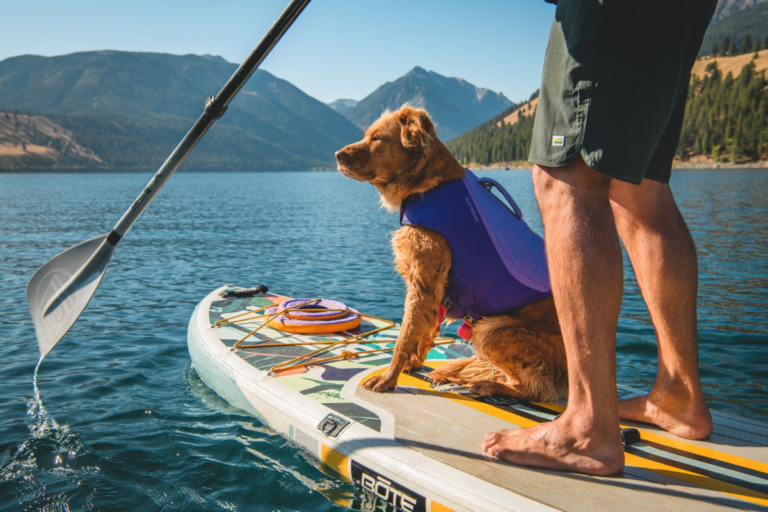 Dog paddleboarding while wearing the Float Coat™ Dog Life Jacket.