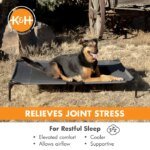 Dog resting outdoors on the charcoal K&H Original Pet Cot
