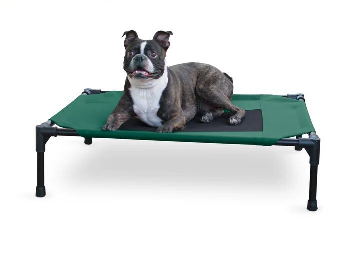 K&H Original Pet Cot in green and black with a dog resting on the raised mesh bed