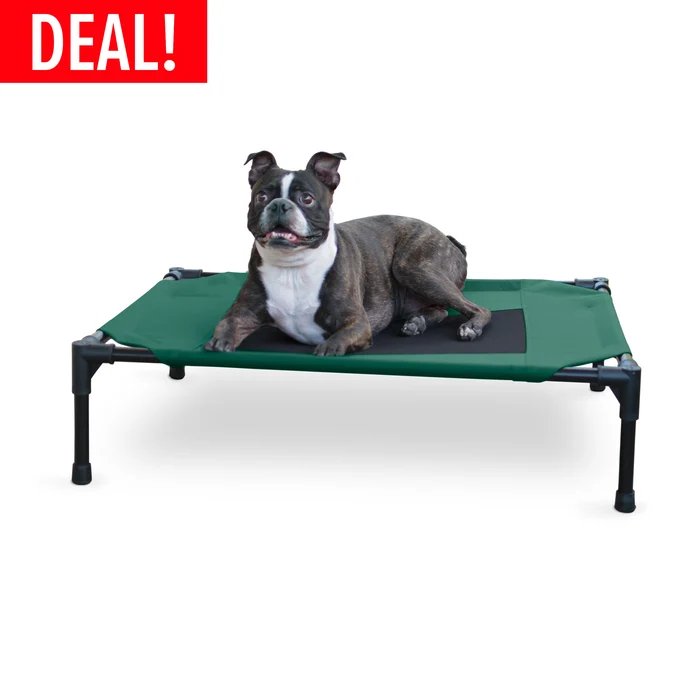 K&H Original Pet Cot in green and black with a dog resting on the raised mesh bed