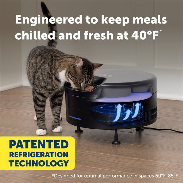 Cat using a pet refrigerated feeder with text about meal temperature control.