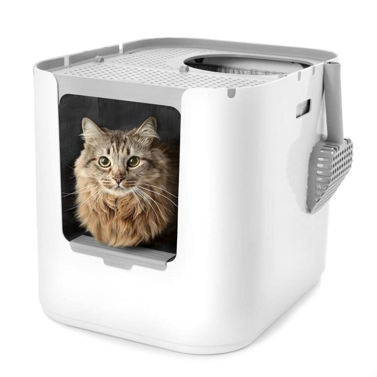 Modkat XL Litter Box front-entry configuration with cat poking its head out the front