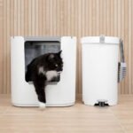 Modkat XL next to Modkat Litter Keeper and black cat