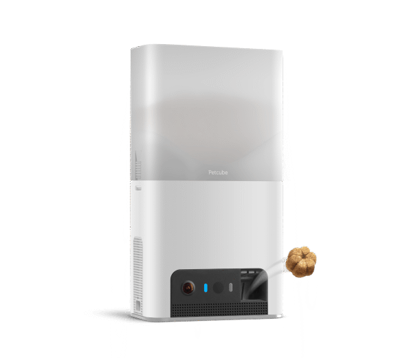 Petcube Bites 2 Lite