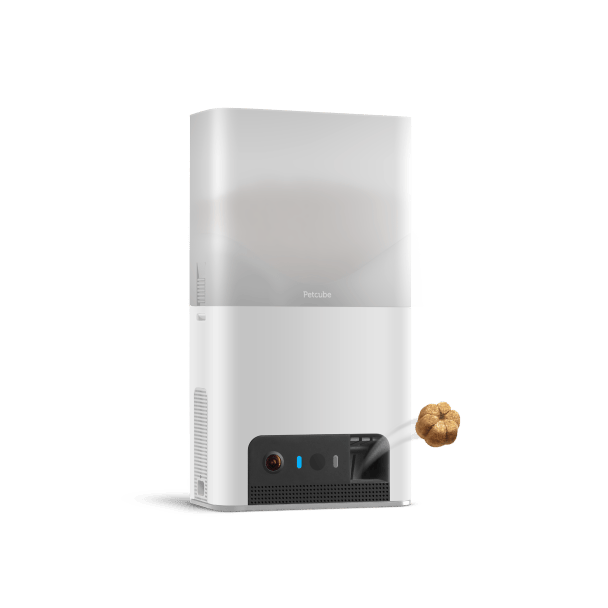 Petcube Bites 2 Lite