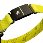 Dog wearing the Fi Series 3 Plus GPS smart collar