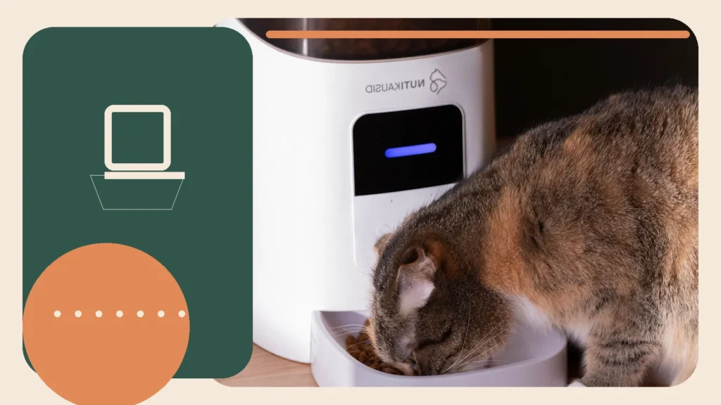Editorial lifestyle image representing everyday pet feeding and hydration.
