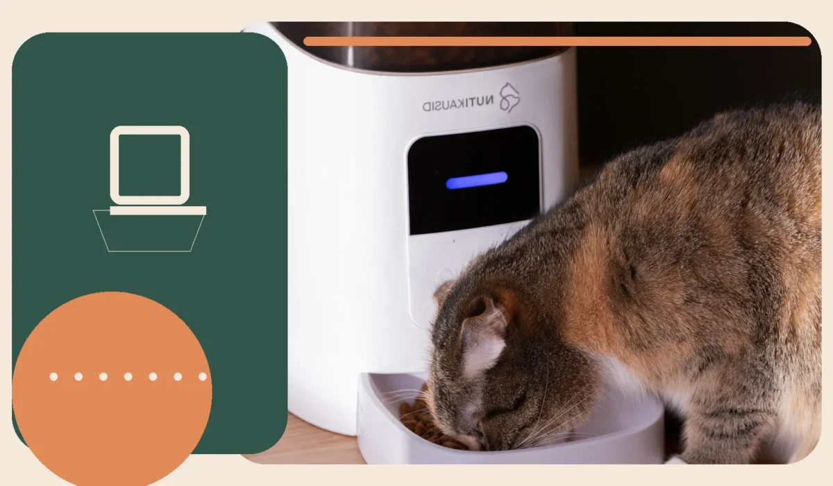 Editorial lifestyle image representing everyday pet feeding and hydration.