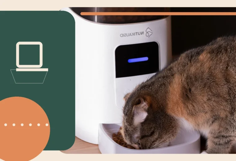 Editorial lifestyle image representing everyday pet feeding and hydration.