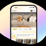 Furbo mobile app live-view interface monitoring a dog and cat at home