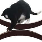 Cat playing through the curved openings of the PetFusion Ultimate Cat Scratcher Lounge