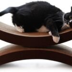 Cat resting on top of the PetFusion Ultimate Cat Scratcher Lounge