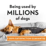 Dog sleeping comfortably while wearing a ThunderShirt Classic calming vest