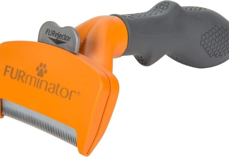 Orange medium FURminator short-hair dog undercoat deShedding tool, angled product view