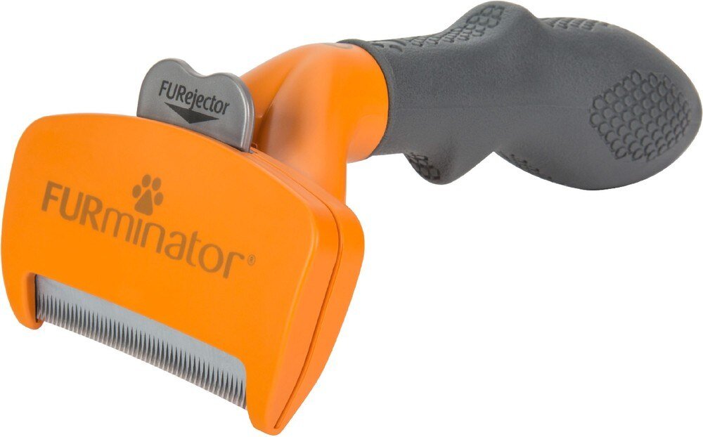 Orange medium FURminator short-hair dog undercoat deShedding tool, angled product view
