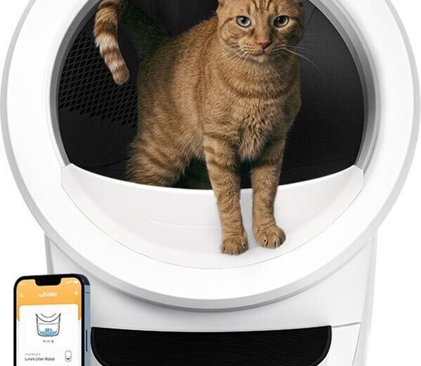White Litter-Robot 4 automatic self-cleaning litter box with cat and Whisker mobile app