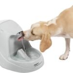 Dog drinking from the exact PetSafe Drinkwell Platinum 168-ounce pet fountain