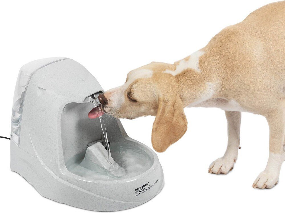 Dog drinking from the exact PetSafe Drinkwell Platinum 168-ounce pet fountain
