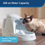 Cat drinking from the PetSafe Drinkwell Platinum fountain with 168-ounce capacity