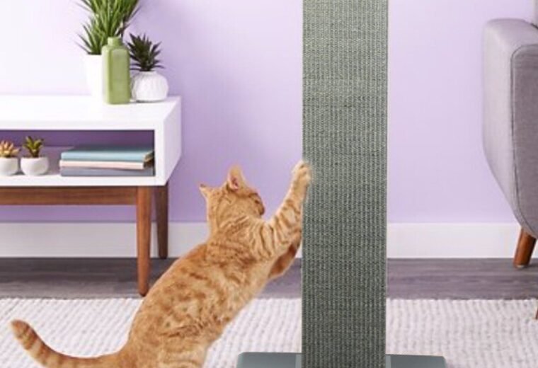Gray SmartCat Ultimate 32-inch sisal scratching post with a cat using it