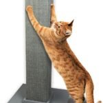 Cat fully stretching against the SmartCat Ultimate sisal scratching post