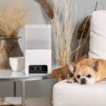 Bites-2-Lite Interior-Dog.jpg