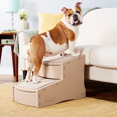 Pet Gear Easy Step II Pet Stairs in use