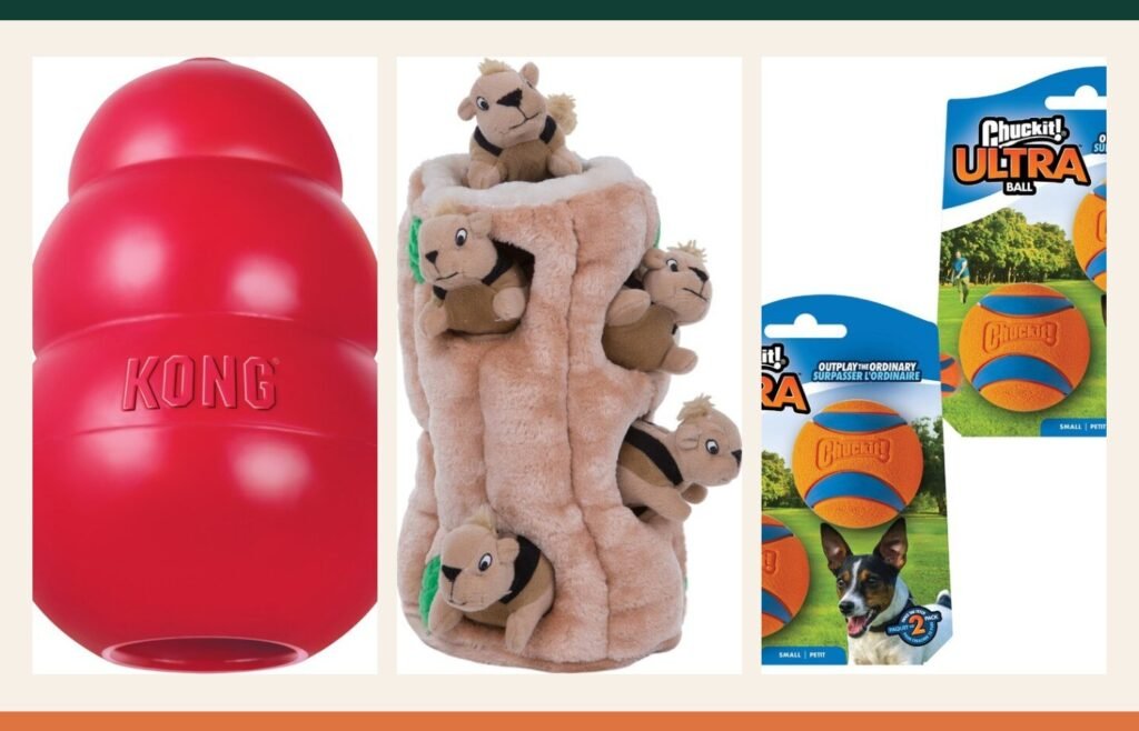 Selection of recognizable products in The Vital Pup Toys & Enrichment category