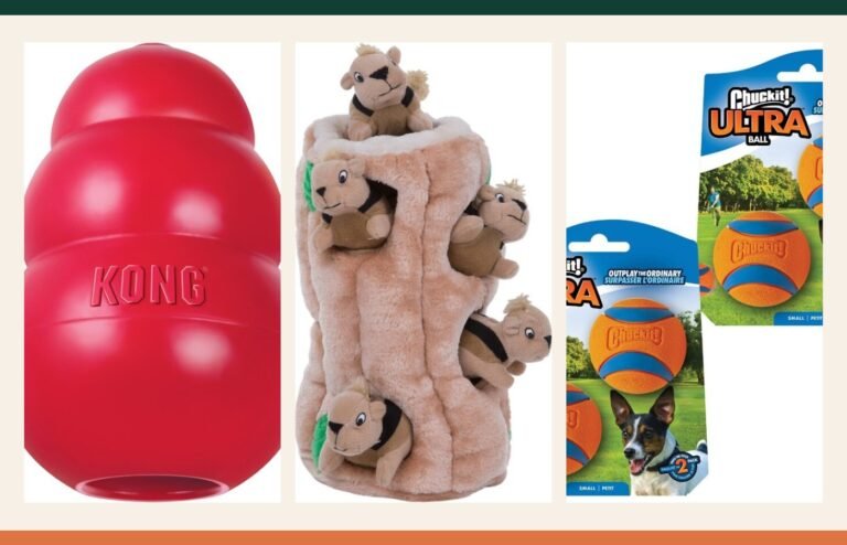 Selection of recognizable products in The Vital Pup Toys & Enrichment category