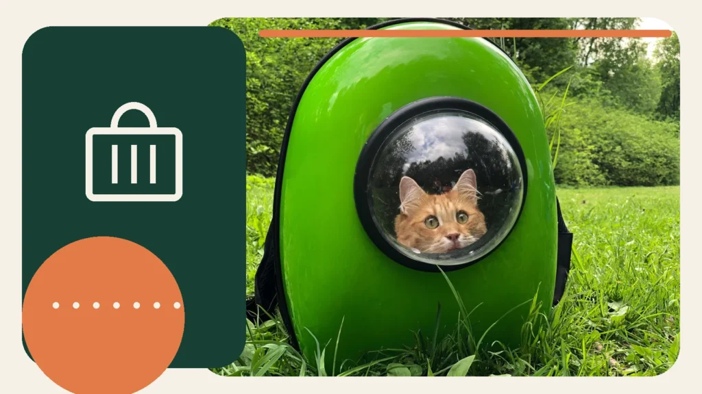 Editorial lifestyle image representing safe pet travel and carrier preparation.