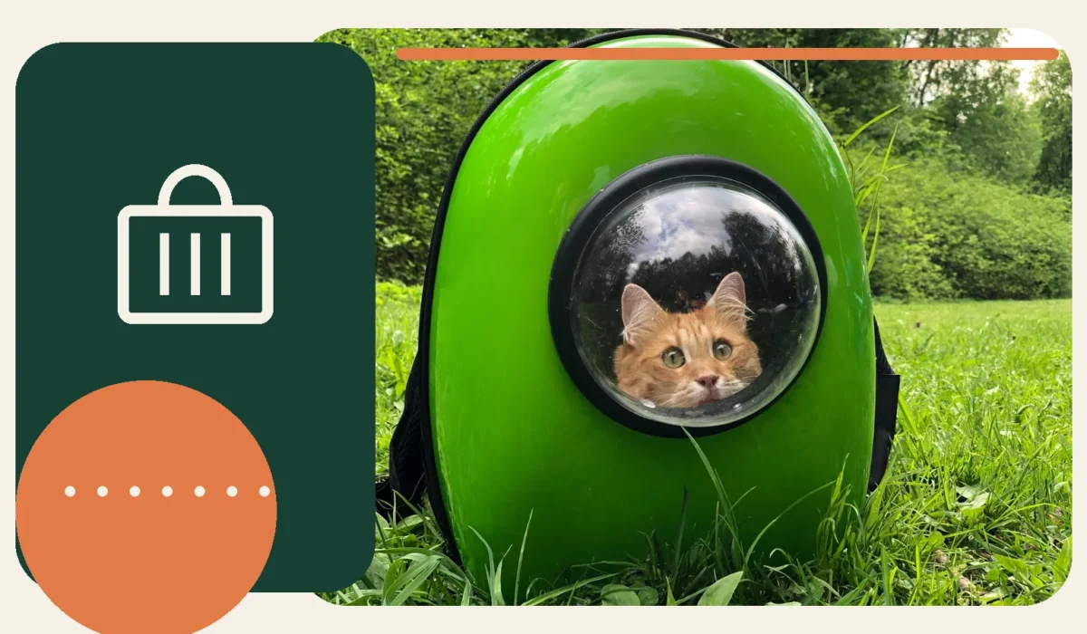 Editorial lifestyle image representing safe pet travel and carrier preparation.