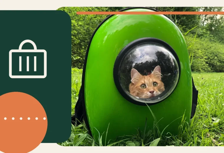 Editorial lifestyle image representing safe pet travel and carrier preparation.