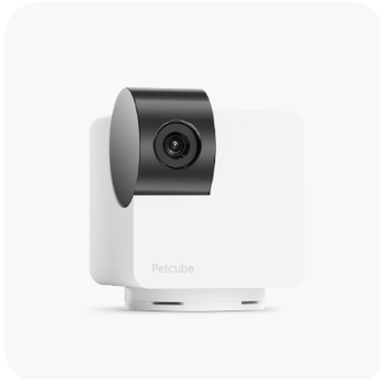 Petcube Cam 360 rotating 1080p pet camera