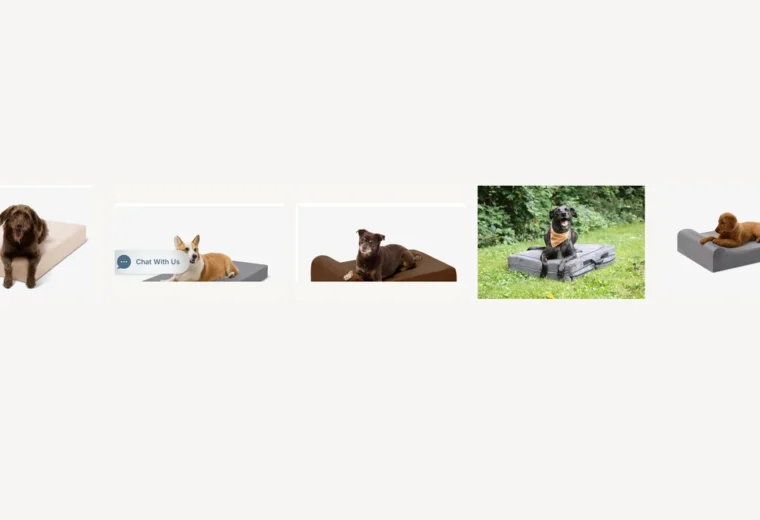 Barker Beds Original, crate, Junior, travel and puppy bed comparison