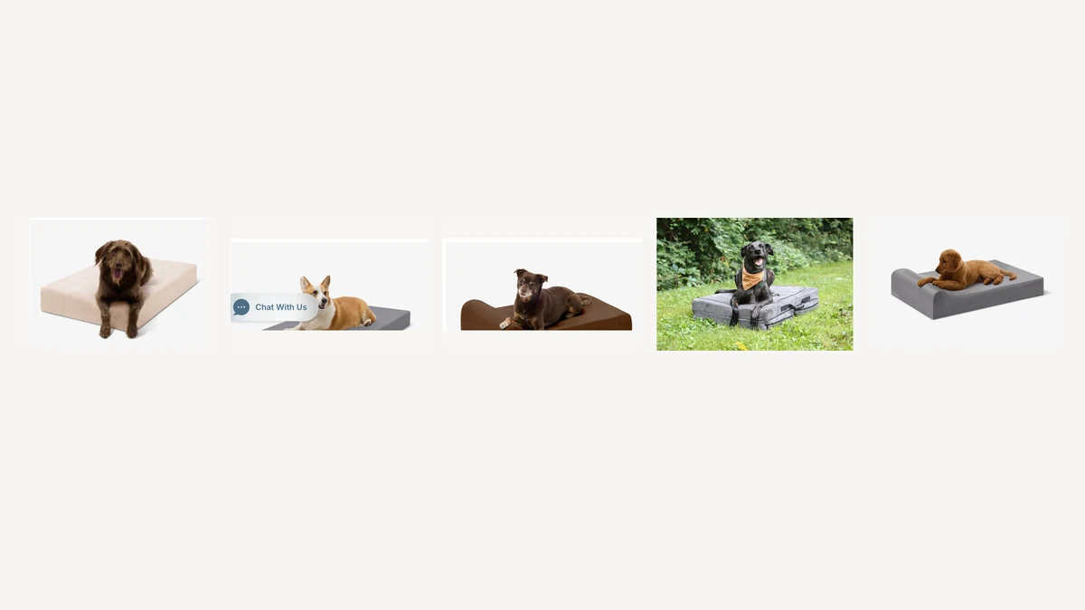 Barker Beds Original, crate, Junior, travel and puppy bed comparison