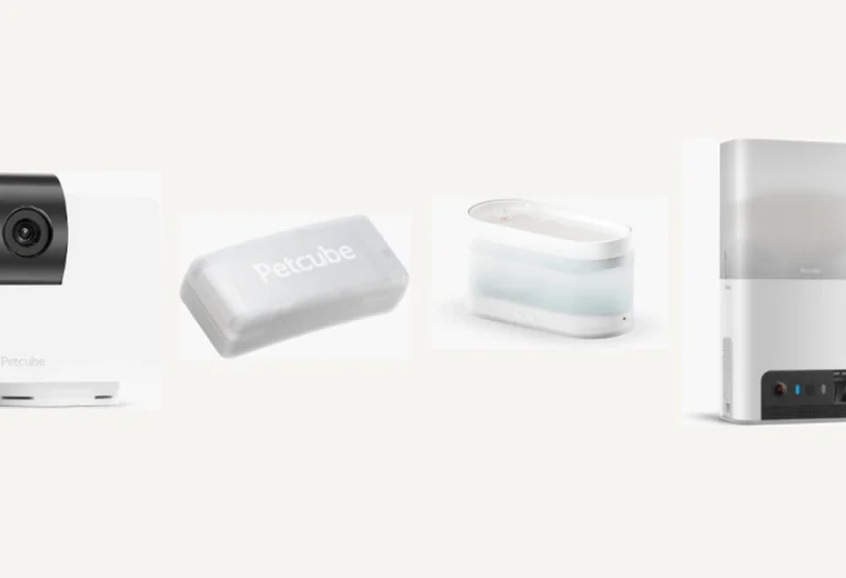 Petcube camera, GPS tracker and fountain comparison