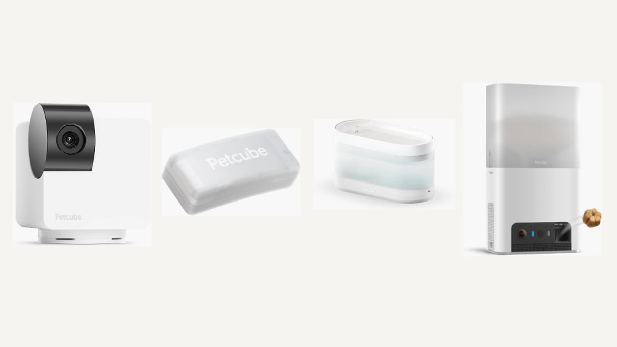 Petcube camera, GPS tracker and fountain comparison