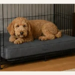 Barker Beds OrthoLift Crate Bed close view